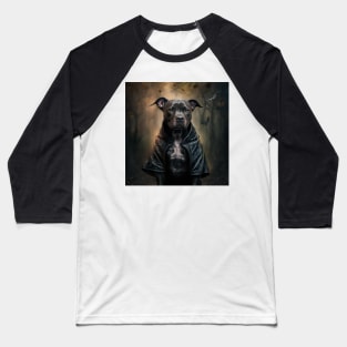 Mysterious Staffy Baseball T-Shirt